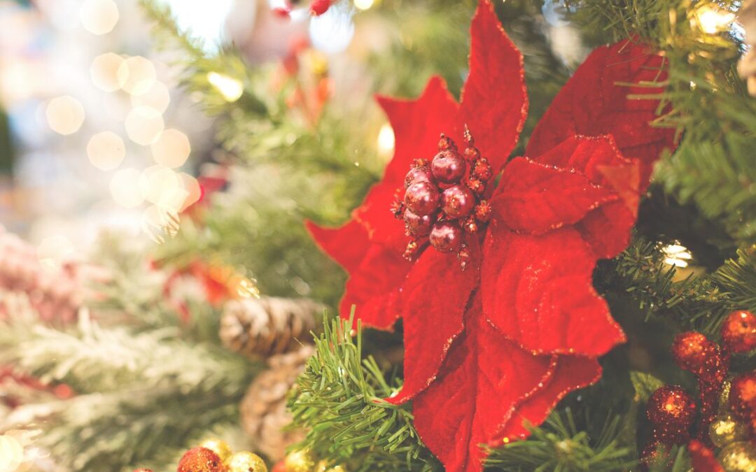 連合「心に光をクリスマス」